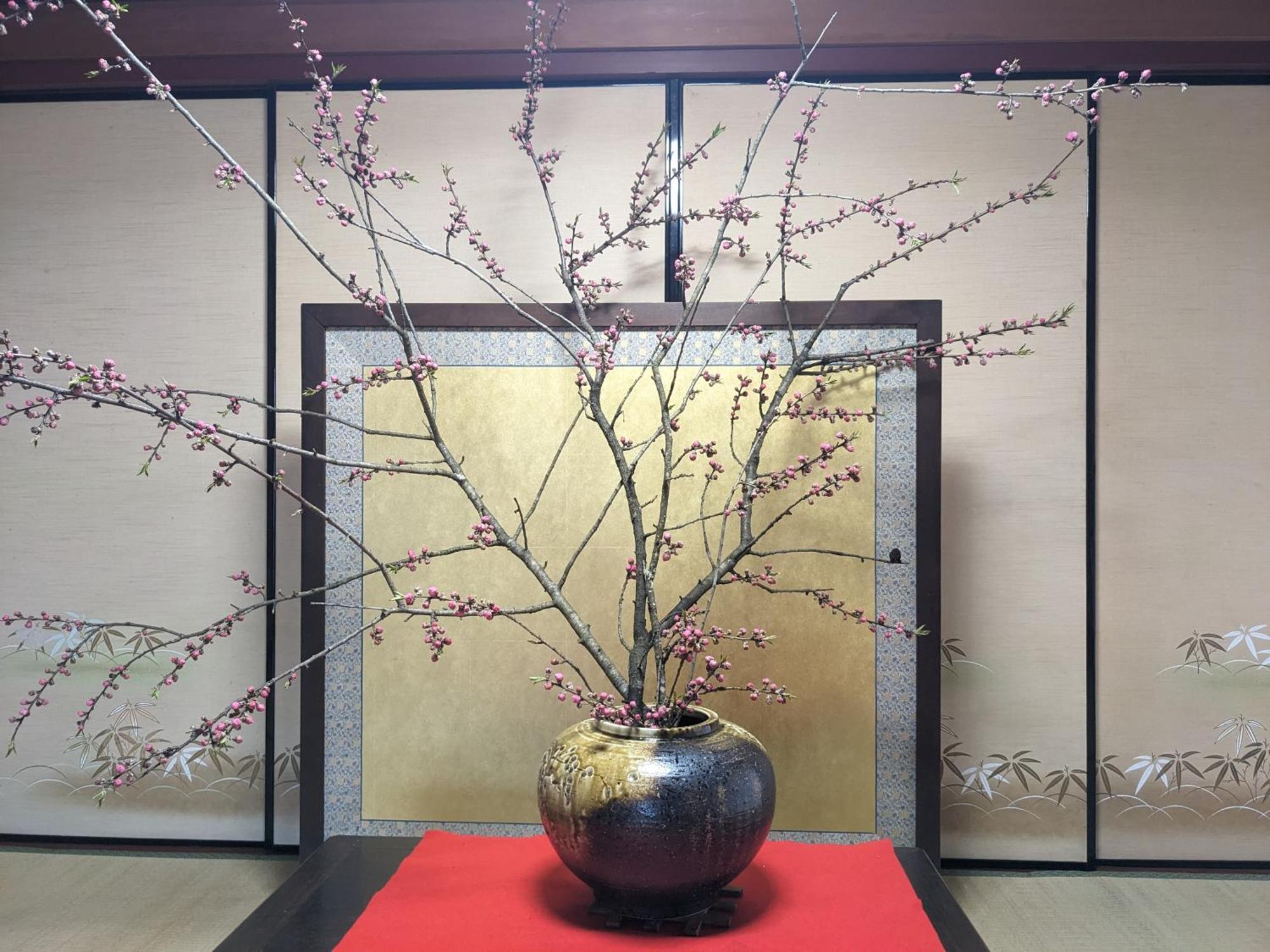 Farm Stay Inn Sanzaemon-Tei 母屋guesthouse Shiga-Takasima Traditional Japanese Architecture House エクステリア 写真