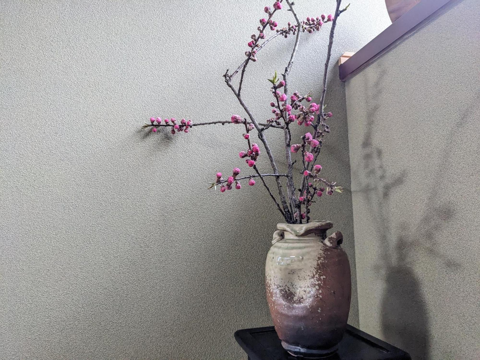 Farm Stay Inn Sanzaemon-Tei 母屋guesthouse Shiga-Takasima Traditional Japanese Architecture House エクステリア 写真